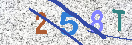 Immagine CAPTCHA