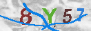 Immagine CAPTCHA