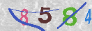 Immagine CAPTCHA