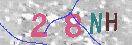 Immagine CAPTCHA